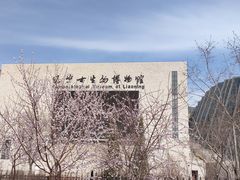 -辽宁古生物博物馆