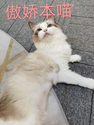 -元一肌肤管理中心