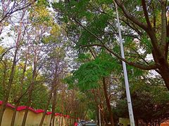 -河南牧业经济学院(龙子湖校区)