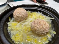 -丁老爷子苏香圆