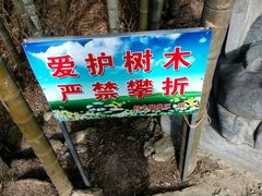 -祁门牯牛降观音堂风景区