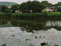 -新江湾城公园