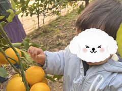 -呀路古热带植物园