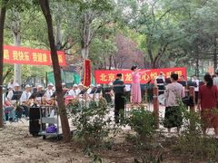 -回龙观体育文化公园