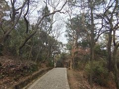 -苏州上方山国家森林公园