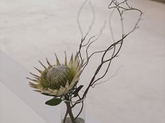-MaisonJoseph家具买手店(滨江店)