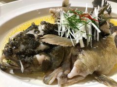 -东海海鲜酒家(中信广场店)