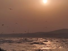 -老虎石海上公园