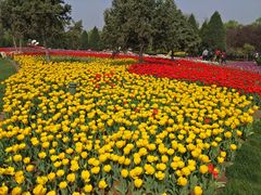 -石家庄市植物园