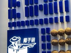 -蔻蔻椰·鲜萃椰子水(欢乐港湾店)