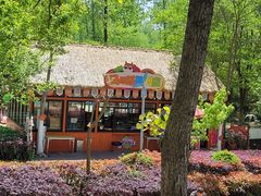 -合肥滨湖国家森林公园