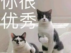 -管氏翅吧(国展店)