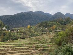 -石台牯牛降景区