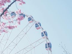 -顾村公园