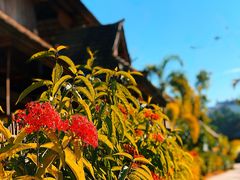 -西双版纳勐泐文化旅游区