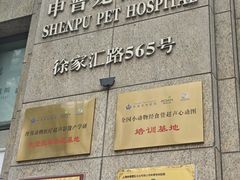 -申普宠物医院·心脏介入·心血管微创(总院)