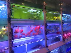 -华声天桥民俗文化园