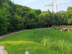 -黑龙江省森林植物园