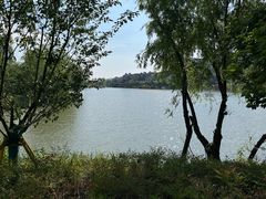 -长兴太湖图影湿地文化园