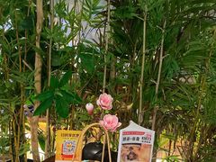 -施奈儿.洗头頭療.按摩SPA.采耳(上梅林店)