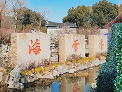 -香雪海