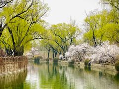 -颐和园