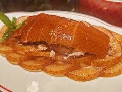 -秀儿四九城·新京菜(亚运村鸟巢店)
