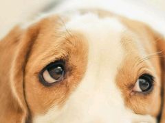 -万达影城(经区九龙城店)