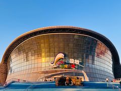 -海合安天津极地海洋公园