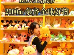 -KKV(深圳宏发大仟里店)