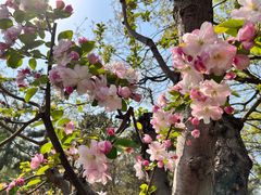 -元大都城垣遗址公园