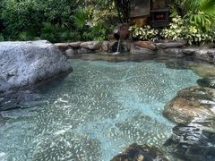 -厦门日月谷温泉渡假村