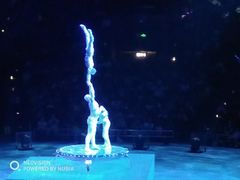 -珠海横琴长隆《卡卡虎奇遇记》