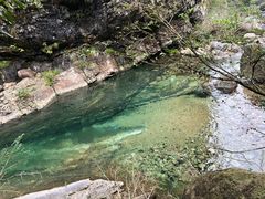 -徽州美食(三十年老店)