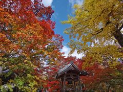 -常寂光寺