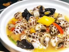 黄椒酱煮花螺-陶陶居酒家(海岸城店)