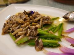 -蟹尊苑(巨鹿店)