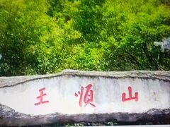 -王顺山国家森林公园