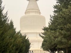 -凉州白塔寺景区