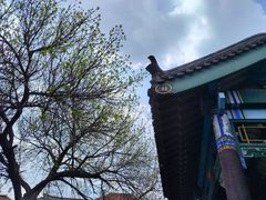 -张学良旧居陈列馆(大帅府)