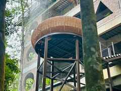 -龙岩森林水乡景区