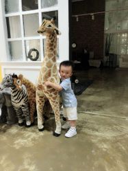 -WPlus明星肖像亲子全家福摄影
