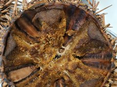 -海胆小馆(东北水饺·春柳店)