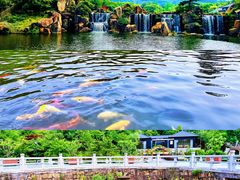 -白马涧龙池景区