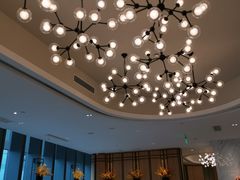 -花城苑广府菜(侨鑫店)