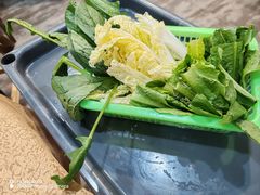 -濠轩阁特色生蚝火锅(水湾路店)