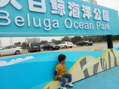 -芜湖新华联大白鲸海洋公园