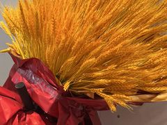 -湘渝人家·川湘菜(十里河店)