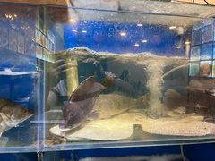 -福建美食城(老君堂店)