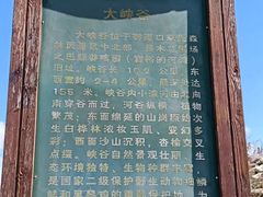 -御道口草原森林风景区